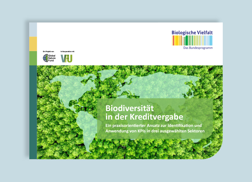 Editorial Design, Publikation, barrierefreies PDF, Kommunikationsdesign, Kommunikationsdesign Konstanz, Barbara Kuberczyk Kommunikationsdesign, Designbüro Konstanz