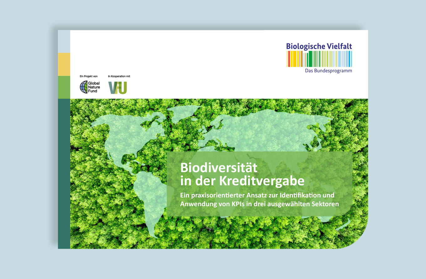 Global Nature Fund, Publikation, Barbara Kuberczyk Kommunikationsdesign, barrierefreies PDF, Editorial Design, digitale Publikation