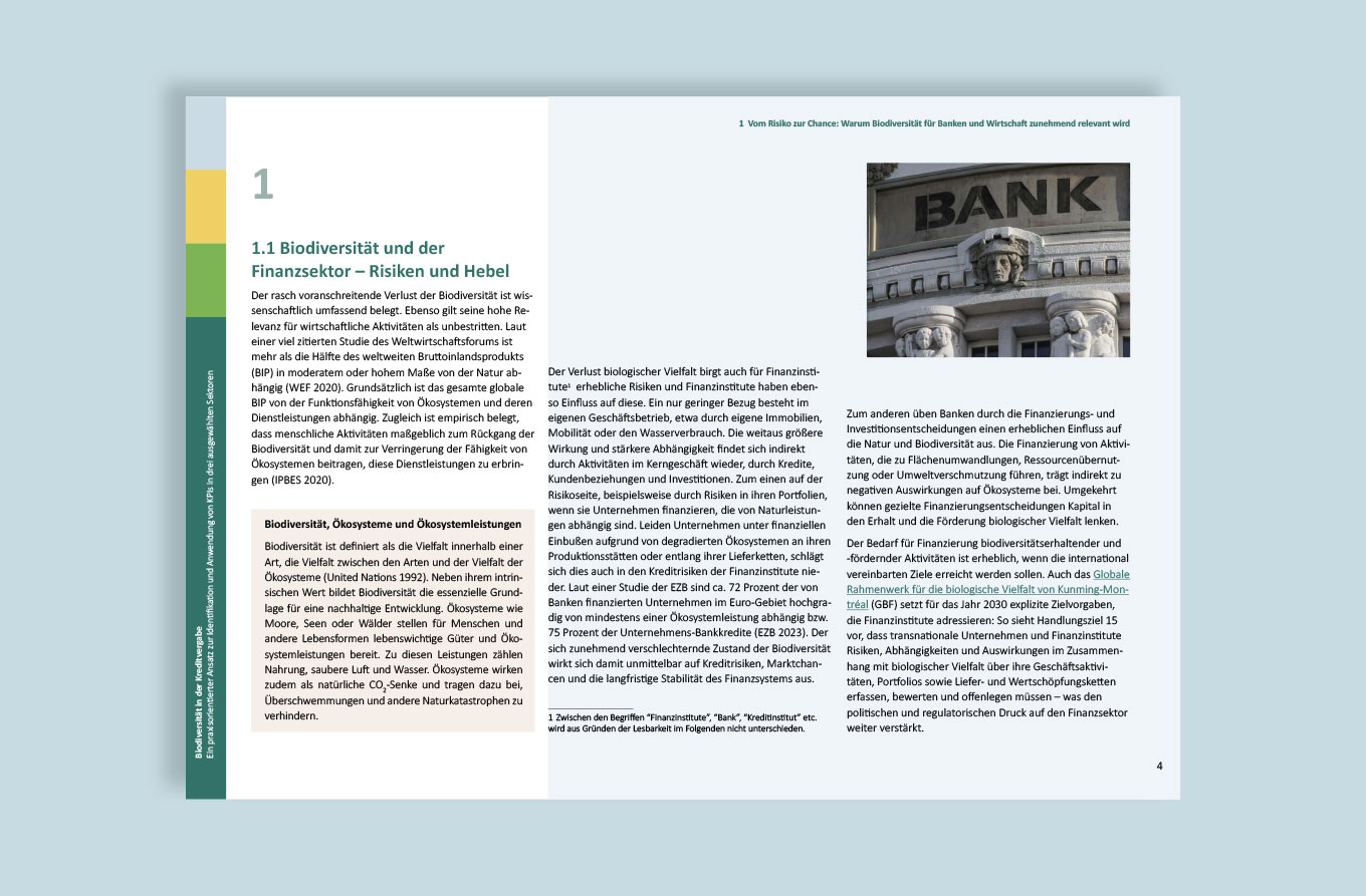 Global Nature Fund, Publikation, Barbara Kuberczyk Kommunikationsdesign, barrierefreies PDF, Editorial Design, digitale Publikation