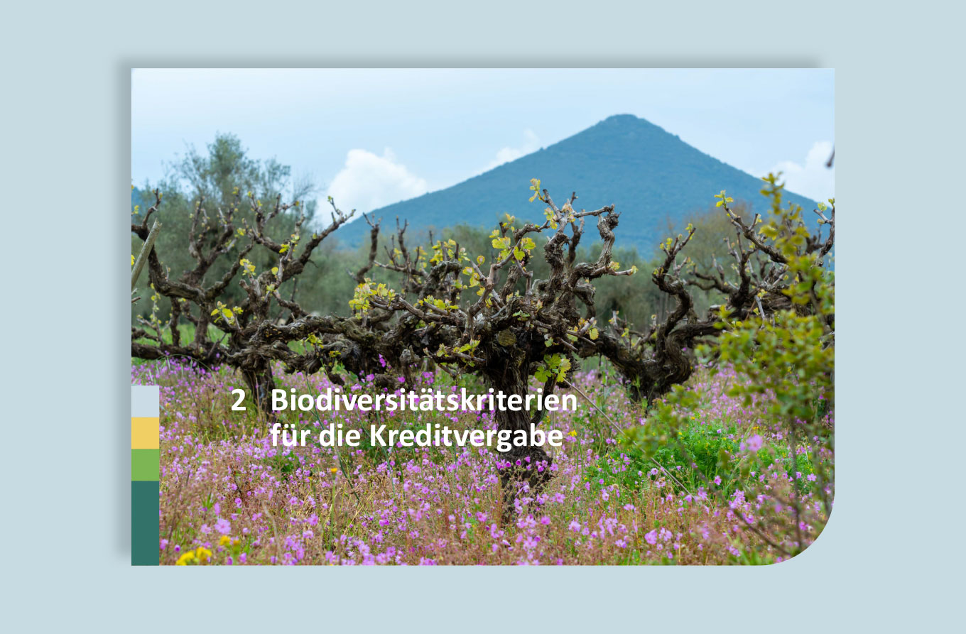 Global Nature Fund, Publikation, Barbara Kuberczyk Kommunikationsdesign, barrierefreies PDF, Editorial Design, digitale Publikation