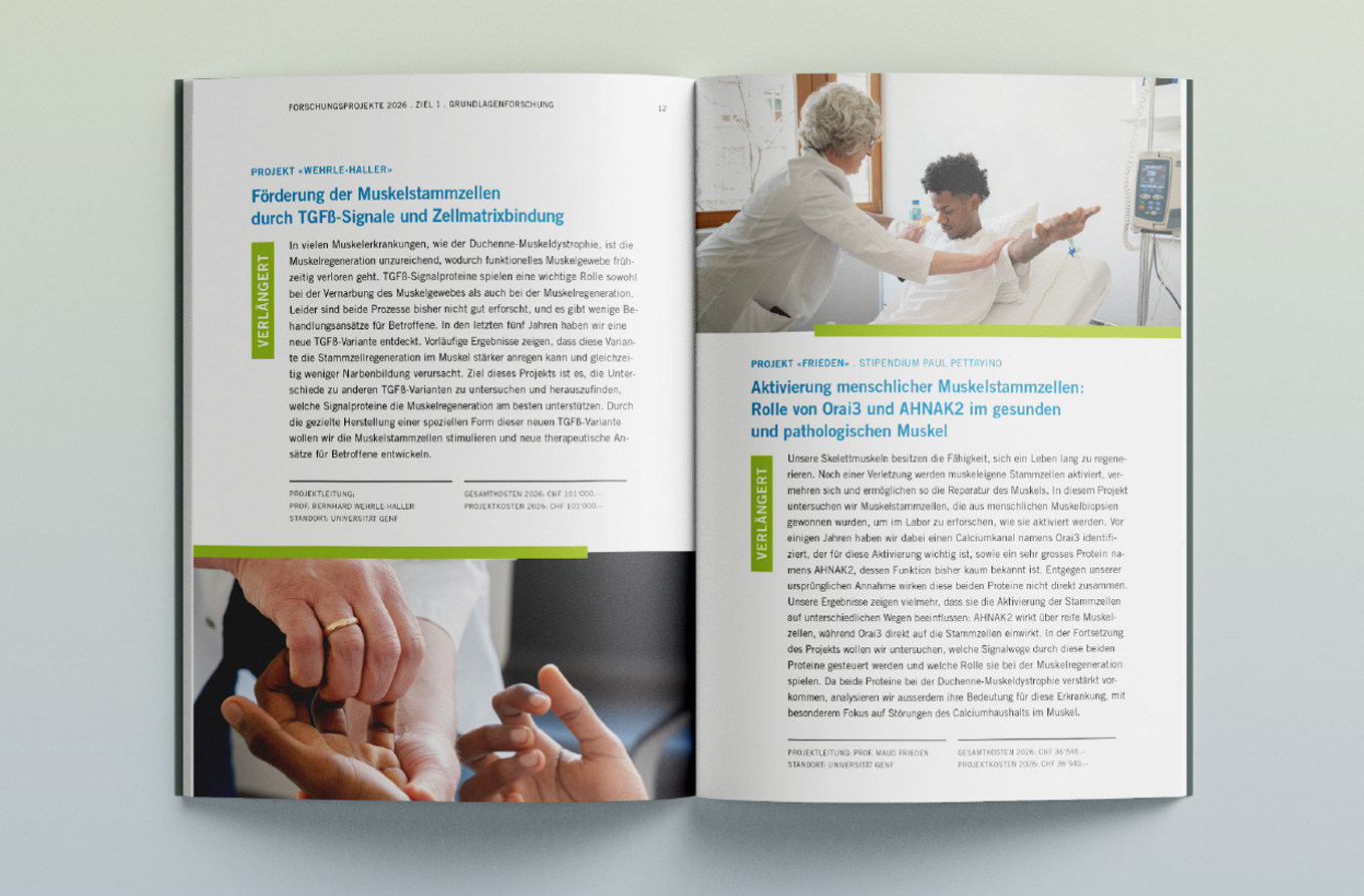 FSRMM Stiftung, Kommunikationsdesign, Grafikdesign, Broschüre, Projektbroschüre, Kommunikationsdesign Konstanz, Projektbroschüre, Barbara Kuberczyk, Editorial Design