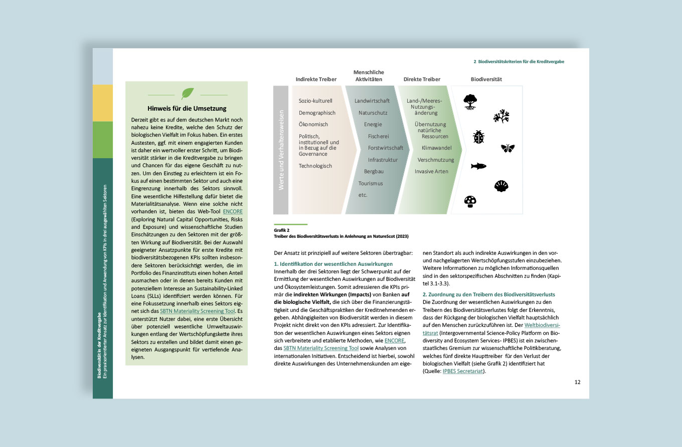 Global Nature Fund, Publikation, Barbara Kuberczyk Kommunikationsdesign, barrierefreies PDF, Editorial Design, digitale Publikation