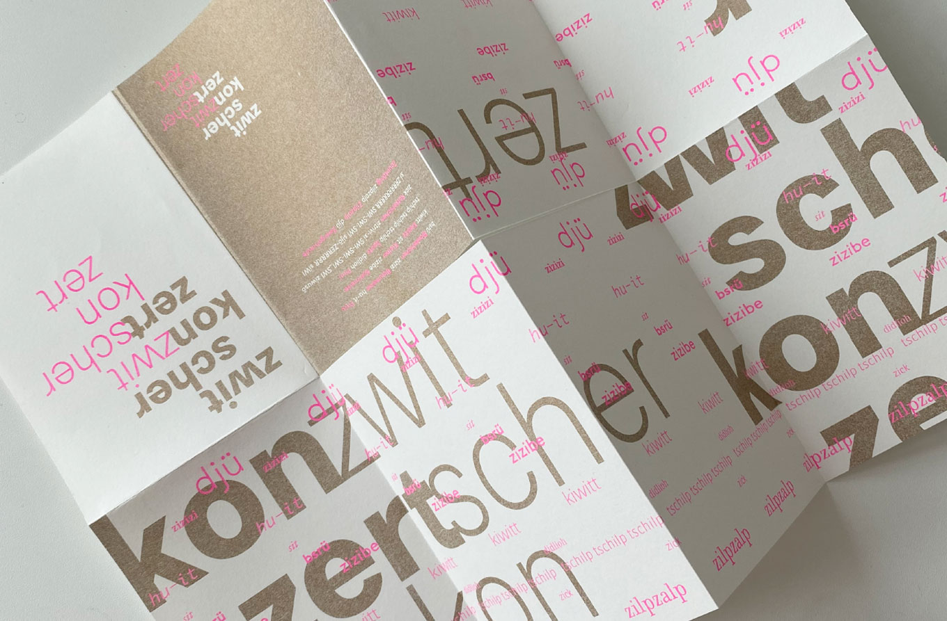 Grafikdesign, Zine, Risografie, Zwitscherkonzert, Kommunikationsdesign, Kommunikationsdesign Konstanz, Barbara Kuberczyk, Faltblatt, Typographie