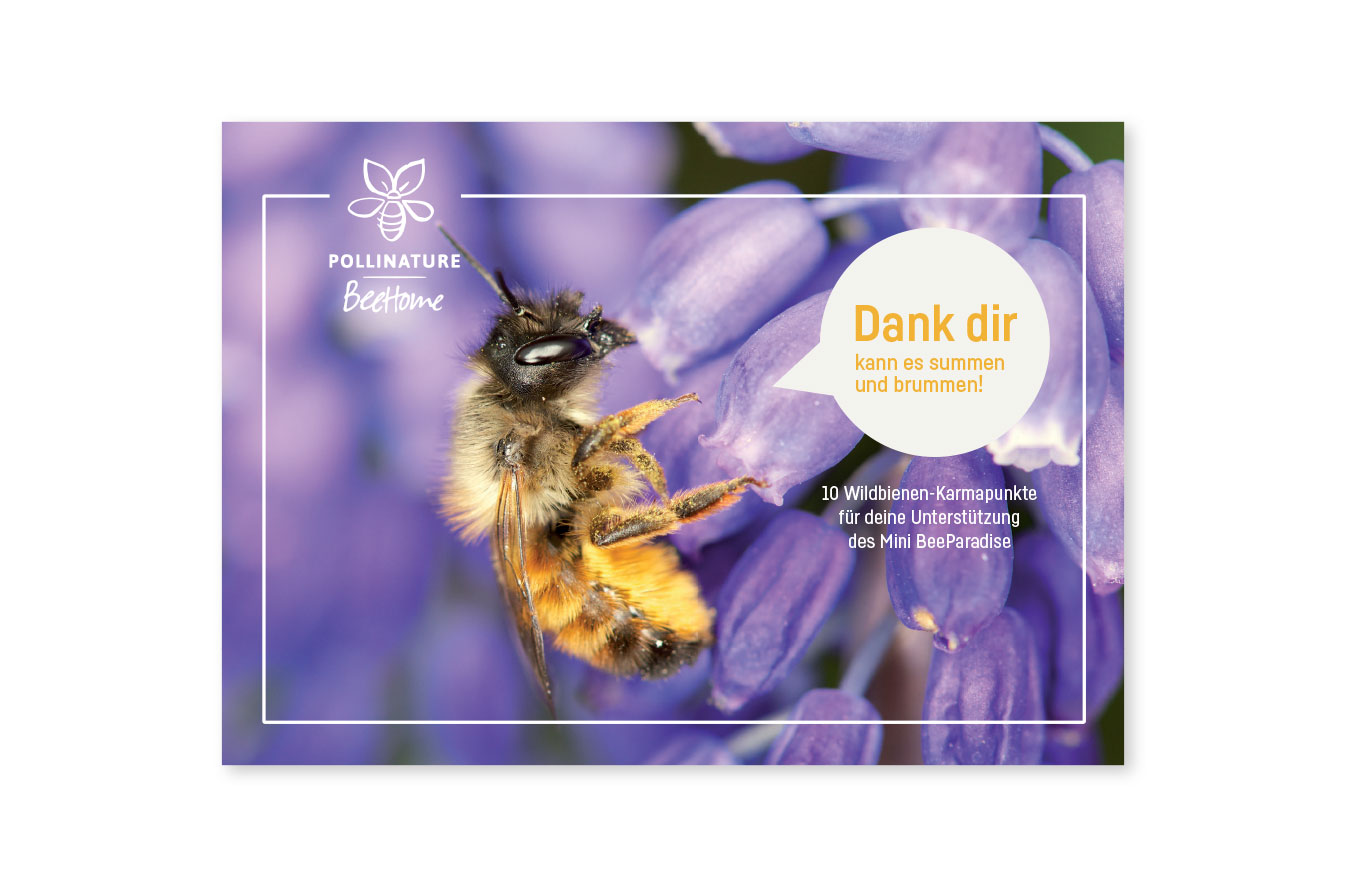 Pollinature, Beehome, Corporate Design, Grafikdesign, Postkarte, Kommunikationsdesign, Kommunikationsdesign Konstanz, Barbara Kuberczyk