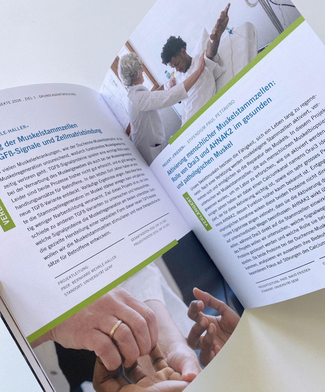 FSRMM Stiftung, Kommunikationsdesign, Grafikdesign, Broschüre, Projektbroschüre, Kommunikationsdesign Konstanz, Projektbroschüre, Barbara Kuberczyk, Editorial Design