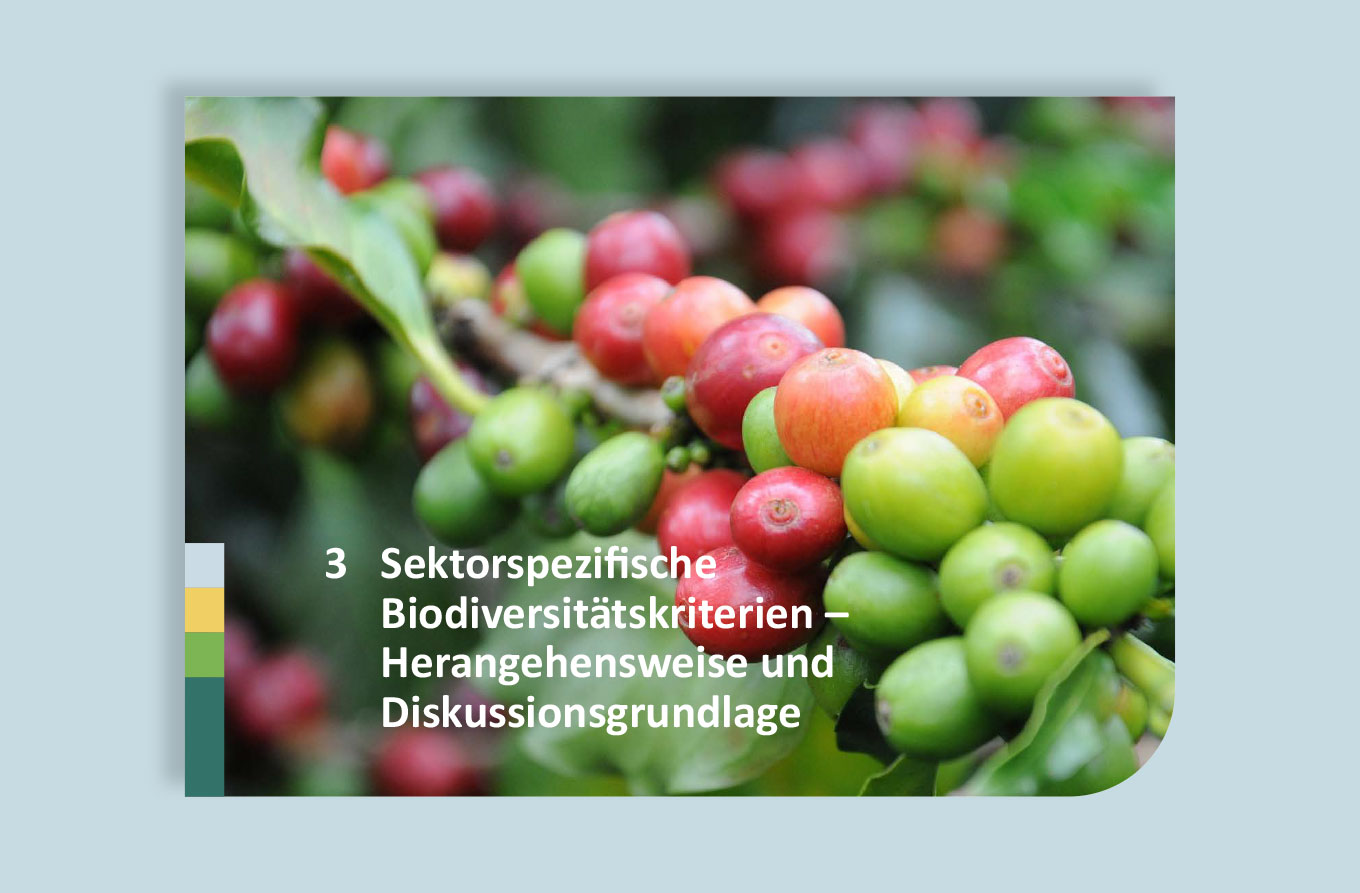 Global Nature Fund, Publikation, Barbara Kuberczyk Kommunikationsdesign, barrierefreies PDF, Editorial Design, digitale Publikation